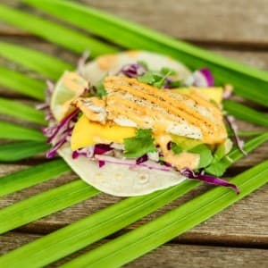 Hübsch angerichtetes Seafood-Gericht