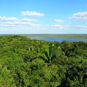 Aussicht auf den umliegenden Urwald und anliegenden Fluss