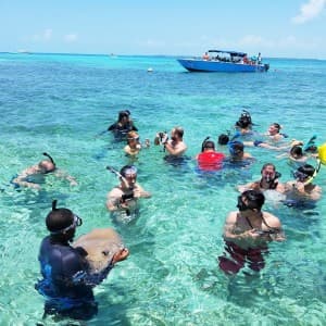Touristengruppe steht im Wasser zwischen Ammenhaien und Rochen