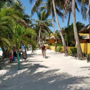 Tourist fährt auf dem Fahrrad über Caye Caulker