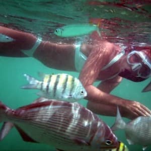 Frau schnorchelt inmitten von Fischen