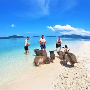 Landausflüge auf Koh Samui