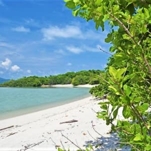 Südlicher Strand von Koh Madsum mit Pflanzen und klarem Wasser
