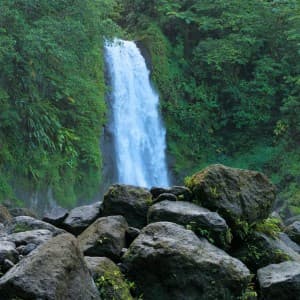 Landausflug in Roseau (Dominica)