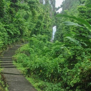 Landausflug in Roseau (Dominica)