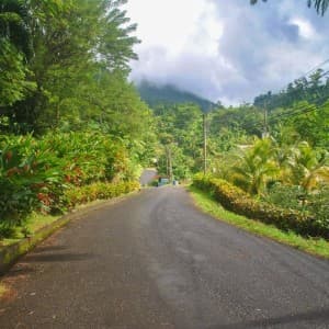 Landausflug in Roseau (Dominica)
