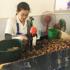 Landausflüge auf Phuket