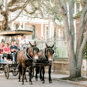 Landausflug in Charleston