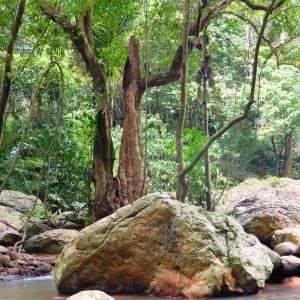 Landausflüge in Koh Samui