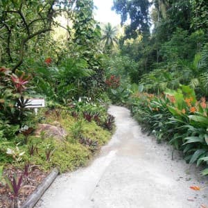 Landausflug in Castries (St. Lucia)
