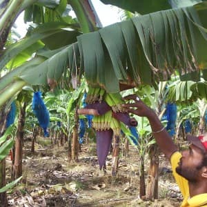 Landausflug in Castries (St. Lucia)