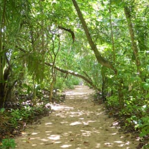 Landausflug in Puerto Limon