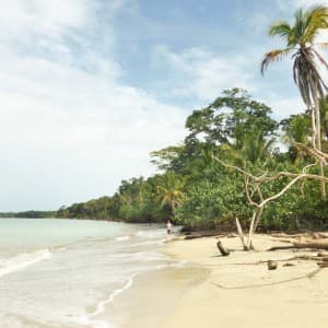 Landausflug in Puerto Limon