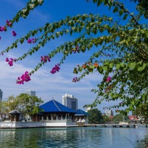 Landausflug in Colombo