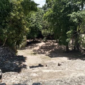 Die Maya-Ruinen von Chacchoben sind im Dschungel gelegen