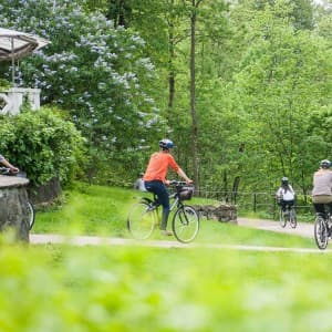 Landausflüge in Oslo