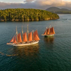 Die Kulisse des Acadia Nationalparks lässt viele Besucher staunen