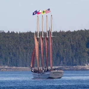Segelboot im Hafen von Bar Harbor mit Aussicht auf Landschaft