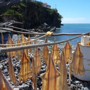 Shore excursion in Madeira