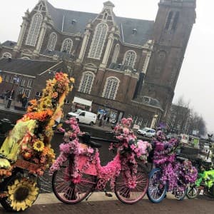 Landausflug in Amsterdam