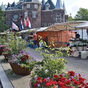 Landausflug in Amsterdam