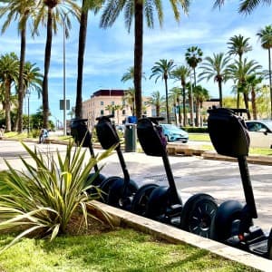 Landausflüge auf Mallorca