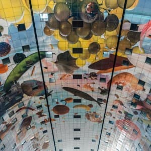 Landausflug in Rotterdam