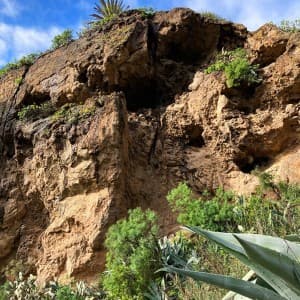 Landausflug auf Gran Canaria