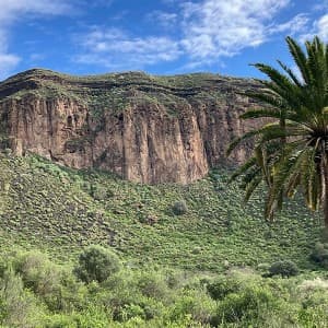 Landausflug auf Gran Canaria
