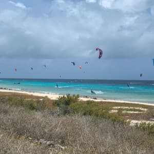 Landausflug in Kralendijk (Bonaire)