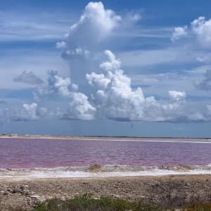 Landausflug in Kralendijk (Bonaire)