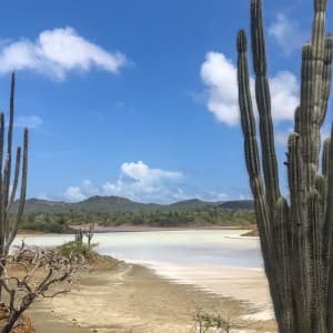 Landausflug in Kralendijk (Bonaire)