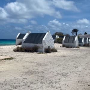 Landausflug in Kralendijk (Bonaire)