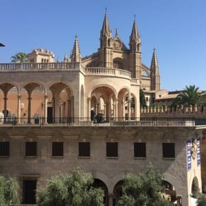 Landausflüge auf Mallorca