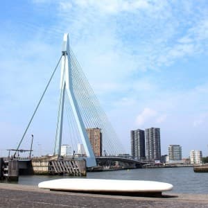 Landausflug in Rotterdam