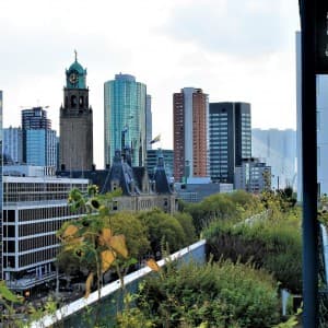 Landausflug in Rotterdam