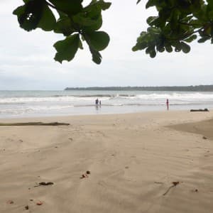 Landausflug in Puerto Limón