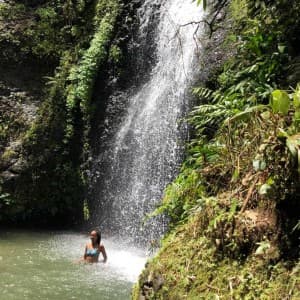 Landausflug in Fort-de-France (Martinique)