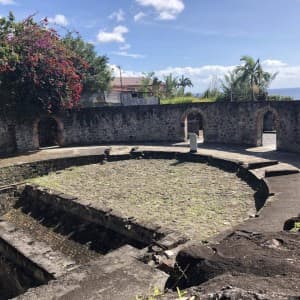 Landausflug in Fort-de-France (Martinique)