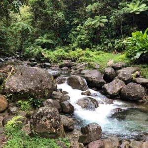 Landausflug in Fort-de-France (Martinique)