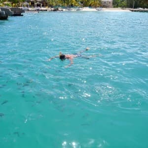 Landausflug in La Romana