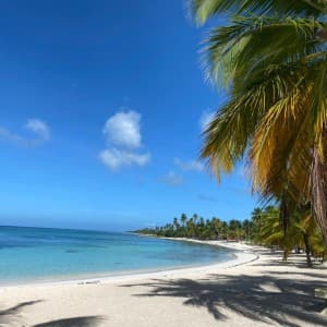 Landausflug in La Romana