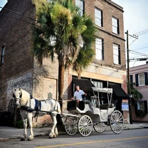 Landausflüge in Charleston