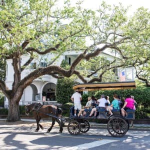 Landausflüge in Charleston