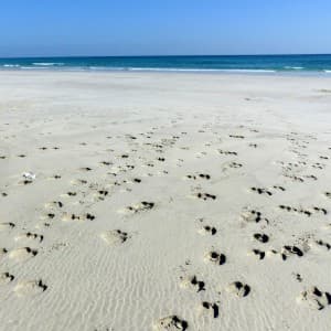 Landausflug in Salalah