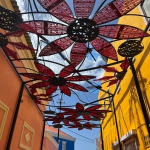 Landausflug in Willemstad (Curaçao)