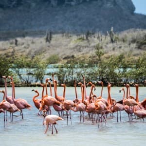 Landausflug in Willemstad (Curaçao)