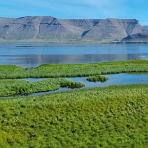 Landausflüge in Isafjördur