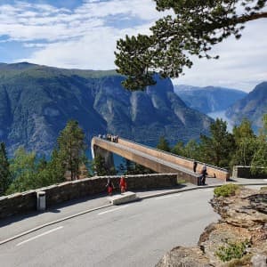 Landausflüge in Flåm