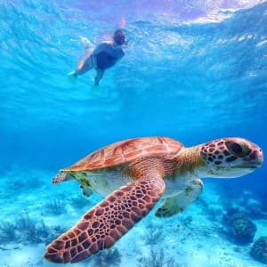 Landausflug in Kralendijk (Bonaire)